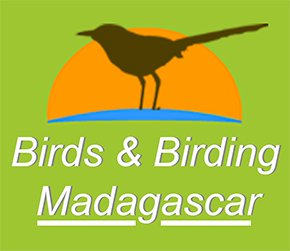 Madagascar Birding Logo